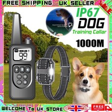 1000M Electric Pet Dog