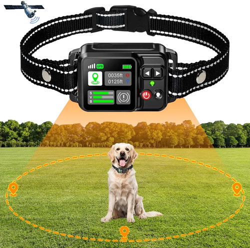 Gps electric dog - dog, fence