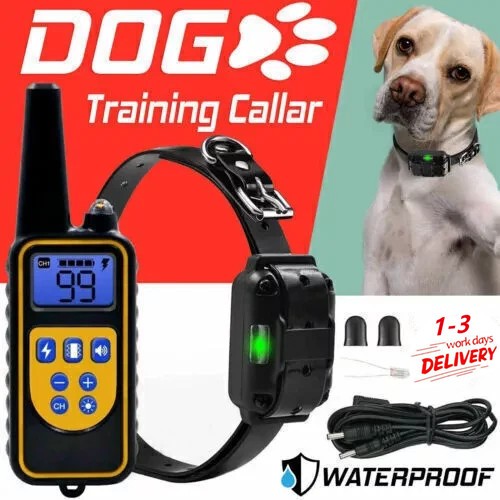800m electric dog pet training - dog,