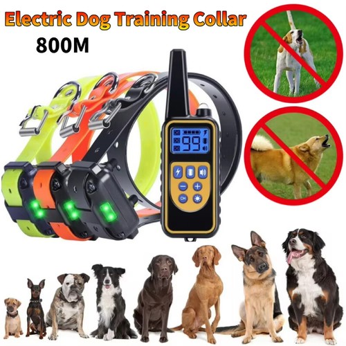 Electric training dogs - electric,