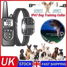 1000M Electric Pet Dog