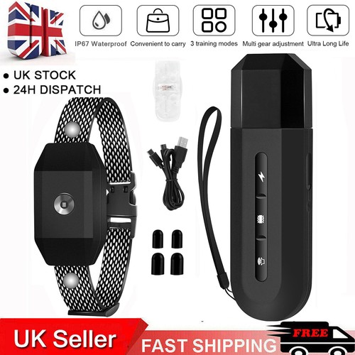 Electric pet dog - pet,