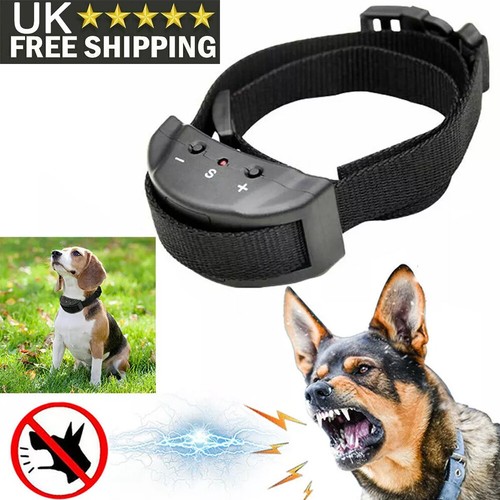 Pet dog training collar - training,