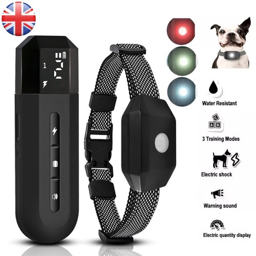 3000ft electric pet dog - electric,
