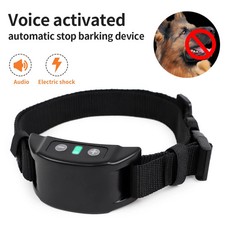 USB Rechargeable Dog Training