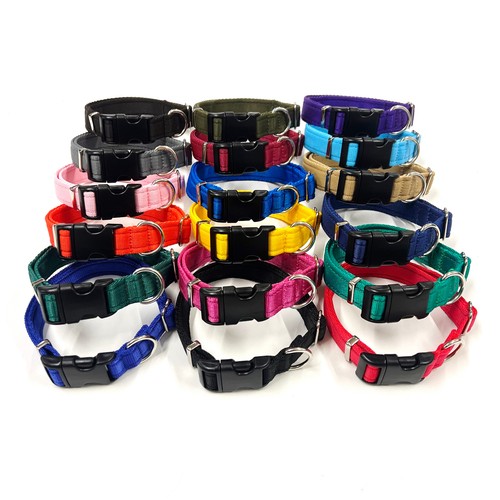 Dog collar adjustable - dog, in