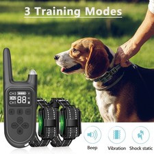 Electric Shock Dog Training