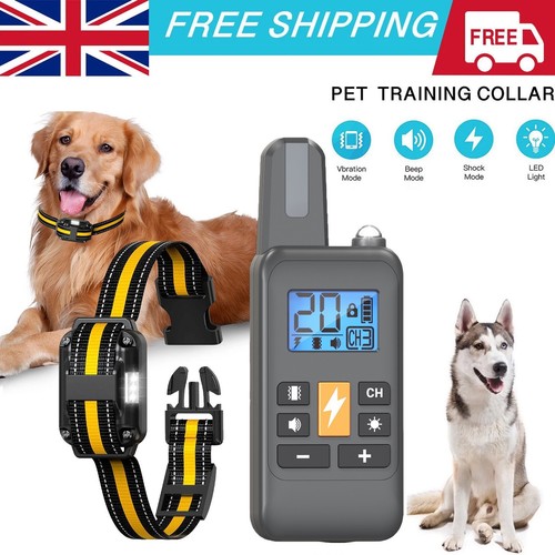 800m remote electric shock - 800m,