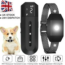 Dog Pet Training Collar