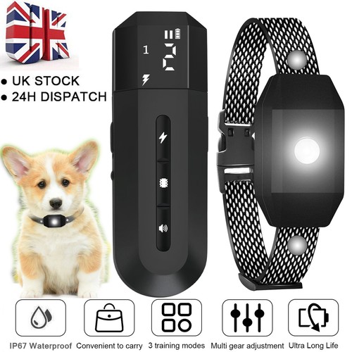Dog pet training collar - dog,