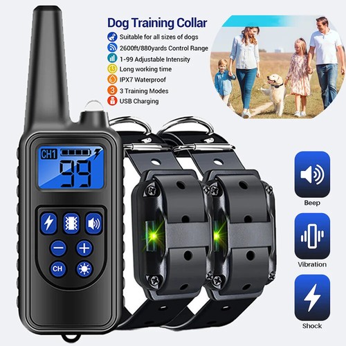 800m electric pet - electric, training