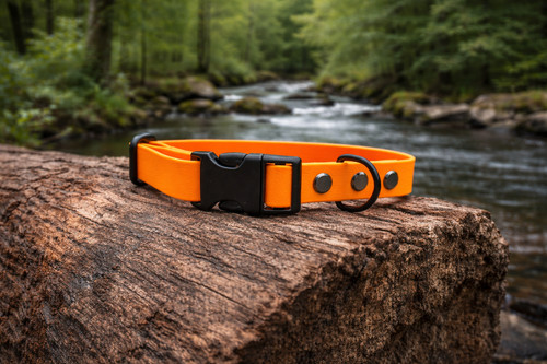 Handmade biothane dog collar - dog,