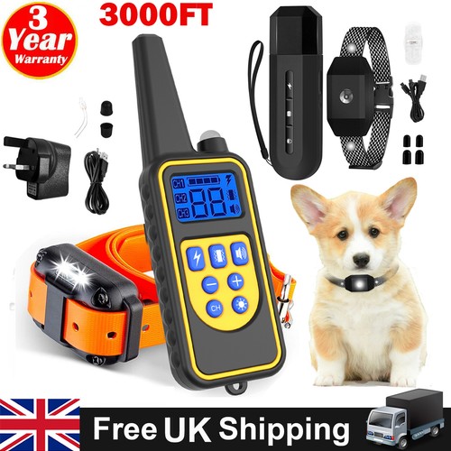 Electric training dogs - training, pet