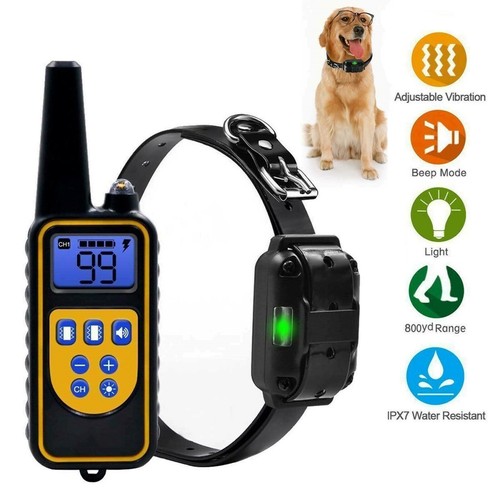 800m waterproof dog - 800m, training