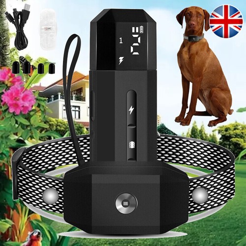 Electric pet dog - electric, training