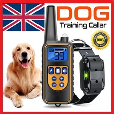 Electric Dog Pet Training