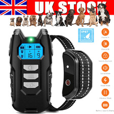Dog Pet Training Collar
