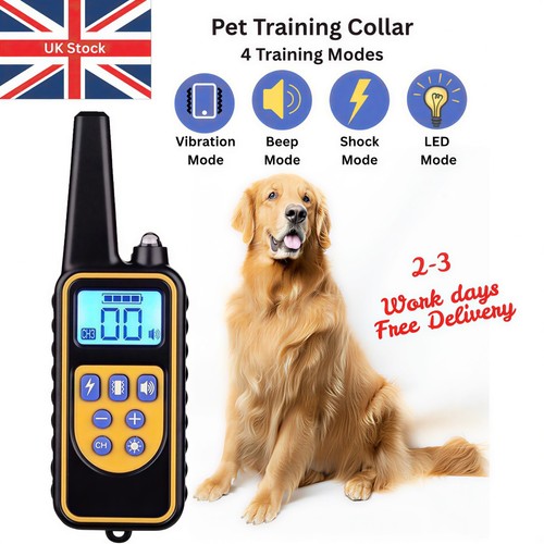 800m electric dog training - electric,
