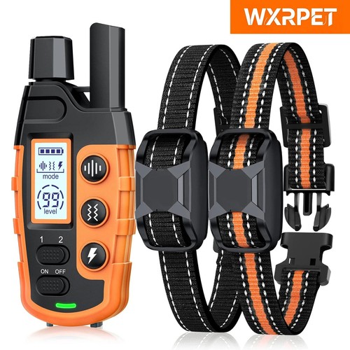 Electric dog training - dog, collar