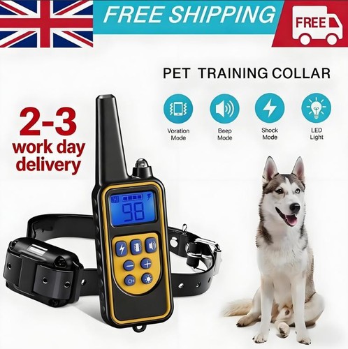 800m electric pet dog training - dog,