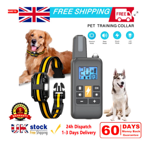 800m electric pet dog - 800m,