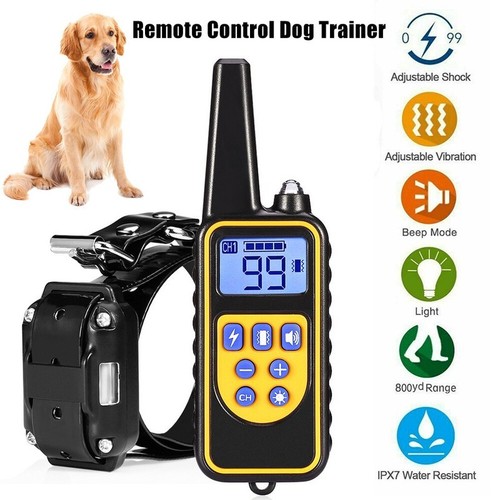 800m remote electric shock - 800m,