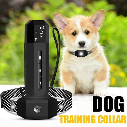Electric dog pet training - electric,
