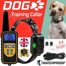 Pet Dog Training Collar 800m