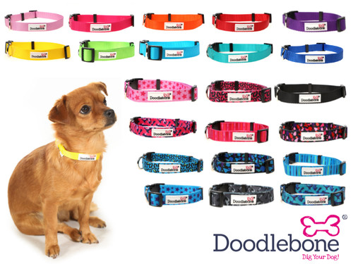 Doodlebone bold nylon dog - doodlebone,